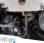 Autocar Iveco CROS