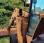 Tracteur agricole Renault 652