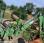 Tracteur agricole nc
