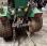 Micro tracteur Ferrari            