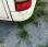 Autocar nc AXER