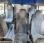 Fourgon avec parois et toit rigide Ford Transit