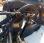 Autre Noremat             Flexia FT 2000