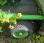 Tondeuse Etesia             H124D