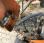 Tondeuse Kubota G1700