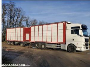 Bétaillère MAN TGX