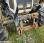 Tracteur agricole nc ERGOS