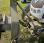 Tracteur agricole Claas ERGOS 446