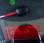 Fourgon avec parois et toit rigide Renault Kangoo