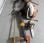 Autre Stihl             MS151 TCE, BR450, FR460