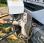 Voirie Renault Midlum