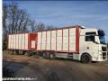 Bétaillère MAN TGX