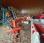 Faucheuse Kuhn F300G