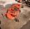 Micro tracteur Kubota             1750D