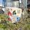 Tracteur agricole Renault