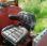 Tracteur agricole nc 1246AH
