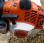 Autre Stihl             FS 240 R