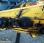 Barre de coupe New Holland HAUTE CAPACITE 7M32