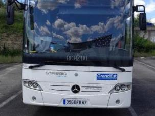 Autocar Mercedes Intouro