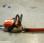 Autre Stihl             MS251