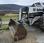  Bobcat T35.130SLP