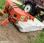 Faucheuse Kuhn GMD