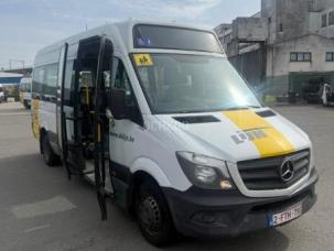 Autocar Mercedes Sprinter