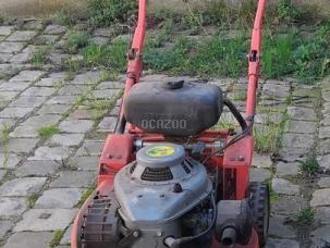 Tondeuse Wolff             RTRF