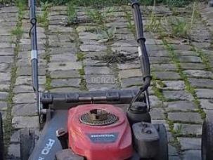 Tondeuse Honda HRH 536