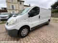 Fourgon avec parois et toit rigide Renault Trafic