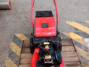 Tondeuse Wolff             RT53X