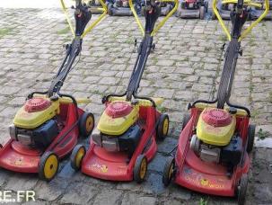 Autre Wolff             PHTF 46