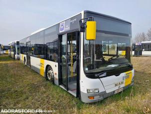Autocar MAN Lion's City