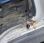 Voirie Nissan Cabstar
