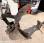 Pelle  Bobcat 442