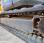 Pelle  Bobcat E 50