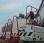 Pelle  Liebherr R974