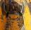 Curage rotatif Liebherr            
