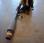 Autre Stihl BR-600