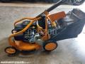 Tondeuse AS Motor             AS 531 4 T MK B
