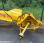 Cureuse de fossés Agram D 2401