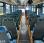 Autocar Irisbus Crossway