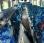 Autocar Irisbus Recreo