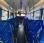Autocar Iveco CROSSWAY 12,80m