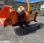 Broyeur de branches nc timberwolf TW190 TVGTR