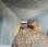 Broyeur de branches Bugnot BV7