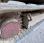 Pelle  Kobelco SK 45 SRX-6