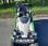 Tondeuse Etesia             MKHP3
