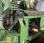 Autre Krone             e-collect 603
