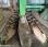 Autre Krone             e-collect 603